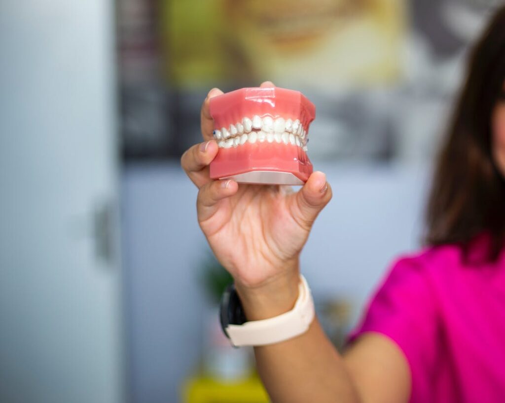 A Person Holding Dental Teeth Model