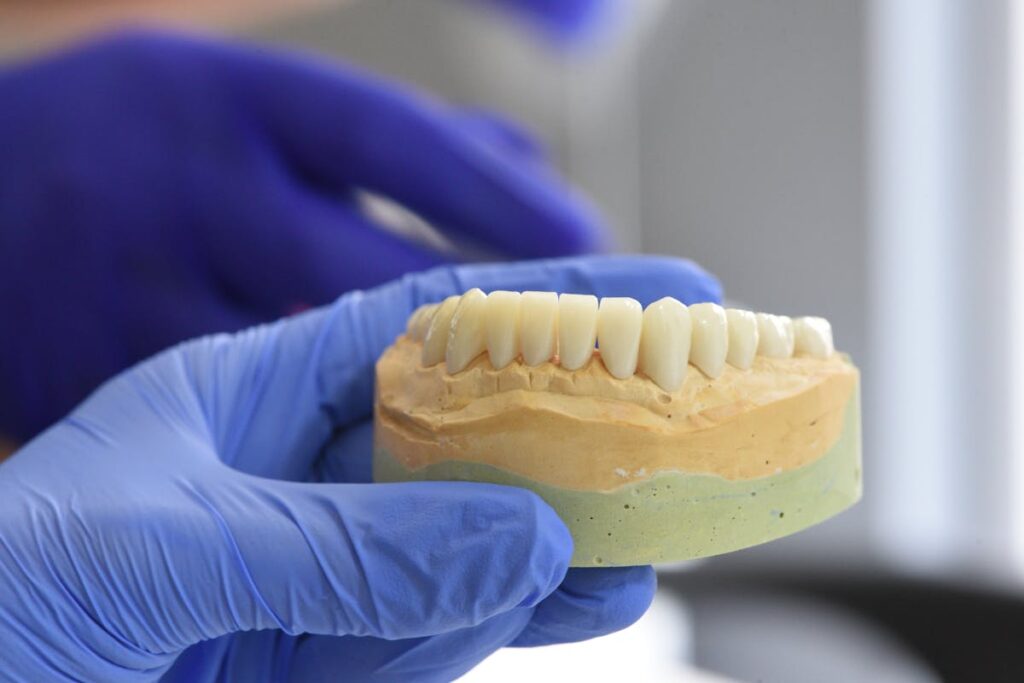Hand in Glove Holding Jaw with Teeth