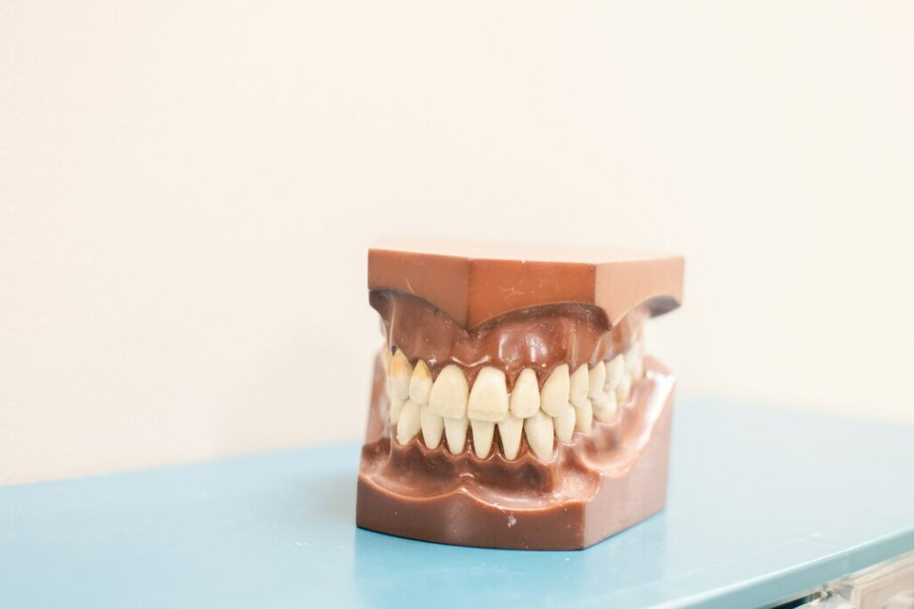 Teeth denture on top of blue shelf photo