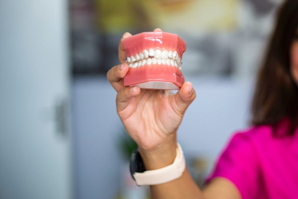 A dentist's hand holding a dental teeth model indoors. Ideal for dental care concepts.